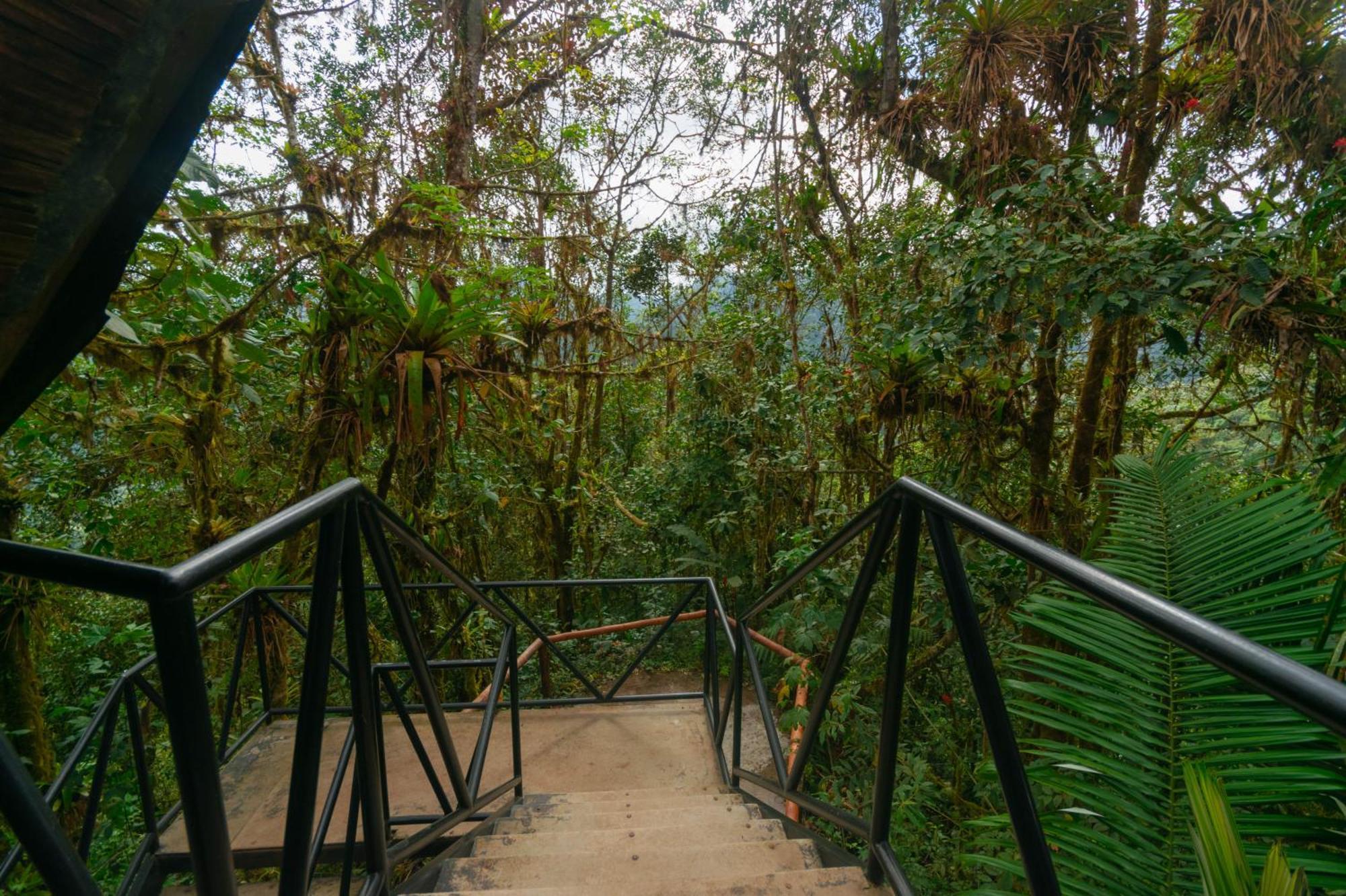 Tandayapa Bellavista Cloud Forest Lodge & Private Protected Area מראה חיצוני תמונה