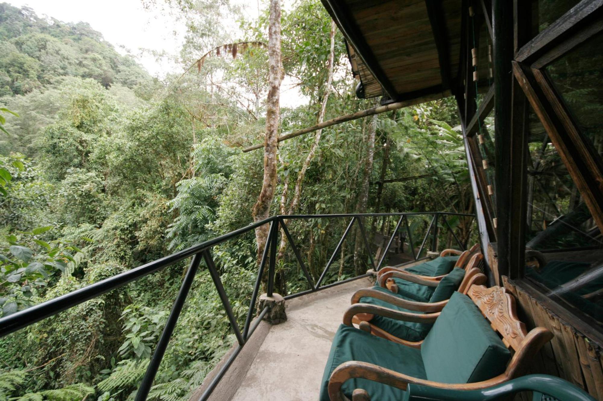 Tandayapa Bellavista Cloud Forest Lodge & Private Protected Area מראה חיצוני תמונה