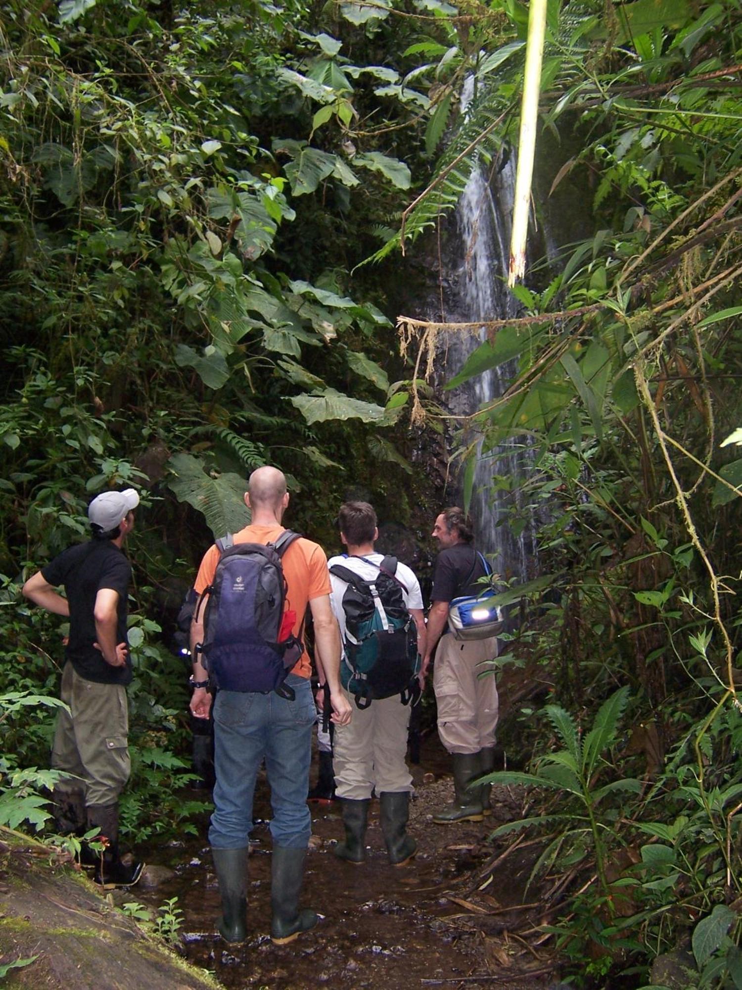 Tandayapa Bellavista Cloud Forest Lodge & Private Protected Area מראה חיצוני תמונה