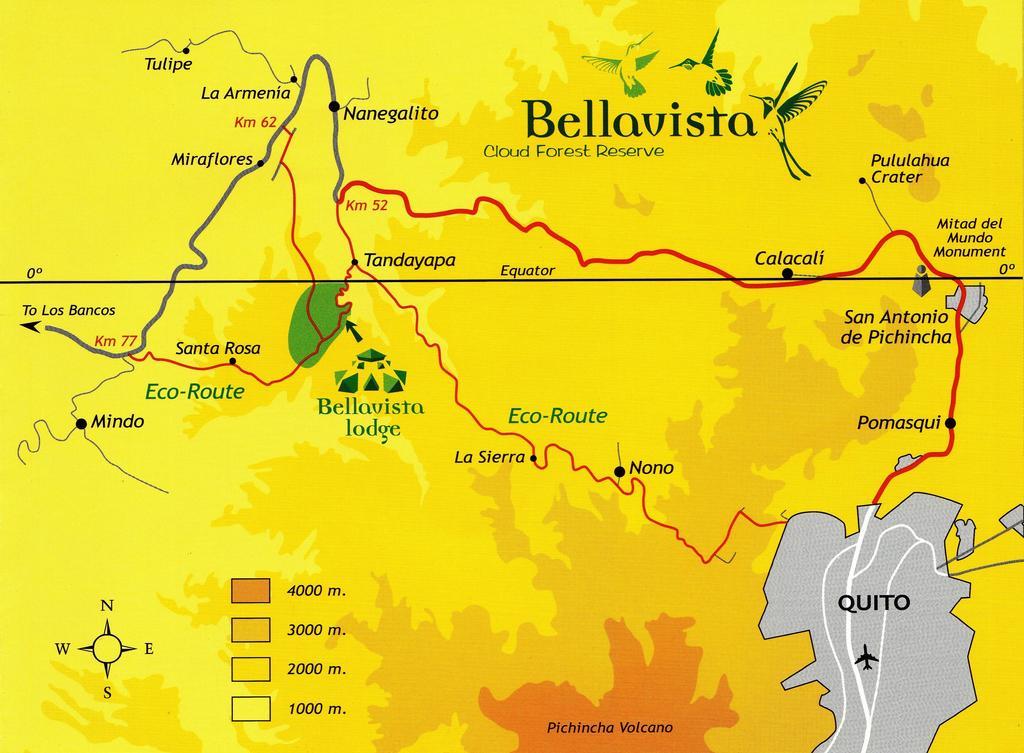 Tandayapa Bellavista Cloud Forest Lodge & Private Protected Area מראה חיצוני תמונה