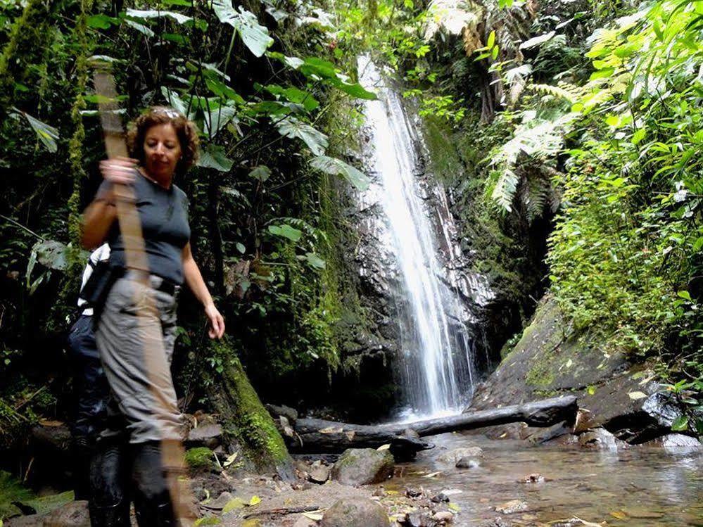 Tandayapa Bellavista Cloud Forest Lodge & Private Protected Area מראה חיצוני תמונה