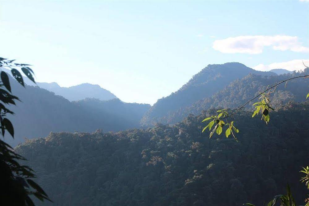 Tandayapa Bellavista Cloud Forest Lodge & Private Protected Area מראה חיצוני תמונה
